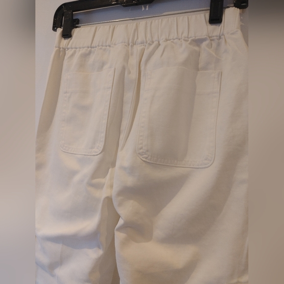 The Group Babaton Cotton Silk Cargo Pant Size 0 - Picture 9 of 11